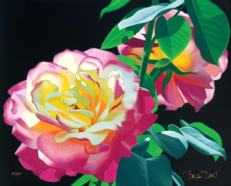 Roses in the Leaves 2000 Limited Edition Print - Brian Davis