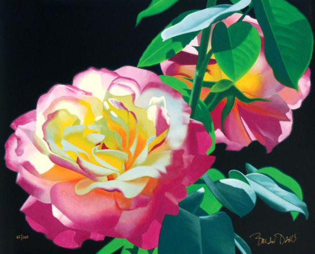 Roses in the Leaves 2000 Limited Edition Print by Brian Davis