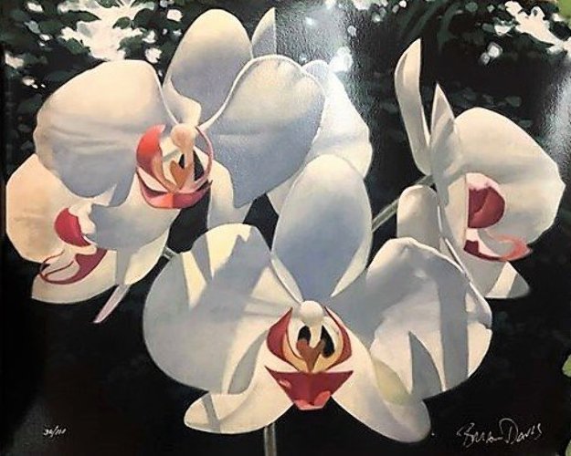 Four Phalaenopsis 2000 Limited Edition Print by Brian Davis Four Phalaenopsis 2000 Limited Edition Print by Brian Davis