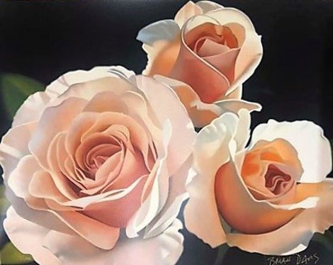 Three French Lace Roses 1996 Limited Edition Print - Brian Davis