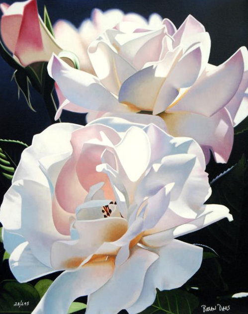 Two White Roses 1996 Limited Edition Print by Brian Davis