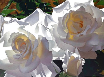 White Radiant Roses Limited Edition Print - Brian Davis White Radiant Roses Limited Edition Print - Brian Davis