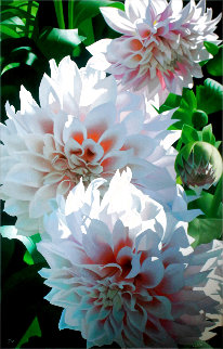 Pink Dahlias Limited Edition Print - Brian Davis Pink Dahlias Limited Edition Print - Brian Davis