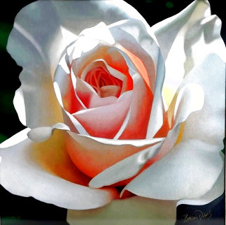 Single Rose Limited Edition Print - Brian Davis Single Rose Limited Edition Print - Brian Davis