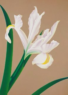 Iris IV 1980 Limited Edition Print - Brian Davis Iris IV 1980 Limited Edition Print - Brian Davis