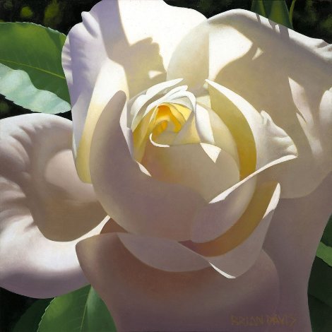 Pale Golden Rose 16x16 Original Painting - Brian Davis