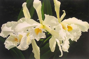 Pale Yellow Cattleya 24x36 Original Painting - Brian Davis Pale Yellow Cattleya 24x36 Original Painting - Brian Davis