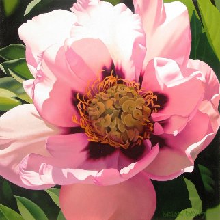 Pink Peony 24x24 Original Painting - Brian Davis Pink Peony 24x24 Original Painting - Brian Davis