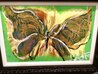 Tiny Butterfly Whipout 2023 21x27 - Signed Twice Original Painting by Autumn de Forest - 4