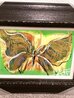 Tiny Butterfly Whipout 2023 21x27 - Signed Twice Original Painting by Autumn de Forest - 3