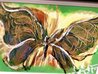 Tiny Butterfly Whipout 2023 21x27 - Signed Twice Original Painting by Autumn de Forest - 5