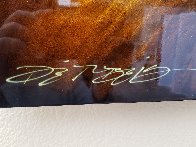 Dragonflies on Diamond Dust 2017 24x48 Huge  Original Painting by Chris DeRubeis - 7