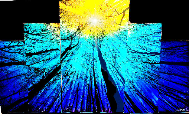 Forest Sky 2022 44x71 - Huge Mural Size - Recess Mount Original Painting - Chris DeRubeis