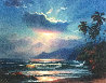 Hawaiian Splendor Limited Edition Print by William DeShazo - 0