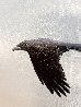 As the Crow Flies 58x58 - Huge Original Painting by Robert Deyber - 3