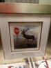 Buck Stops Here 2012 Limited Edition Print by Robert Deyber - 2