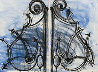 Blue Detail From the Crommelynck Gate 1982  Huge - HS Limited Edition Print by Jim Dine - 0