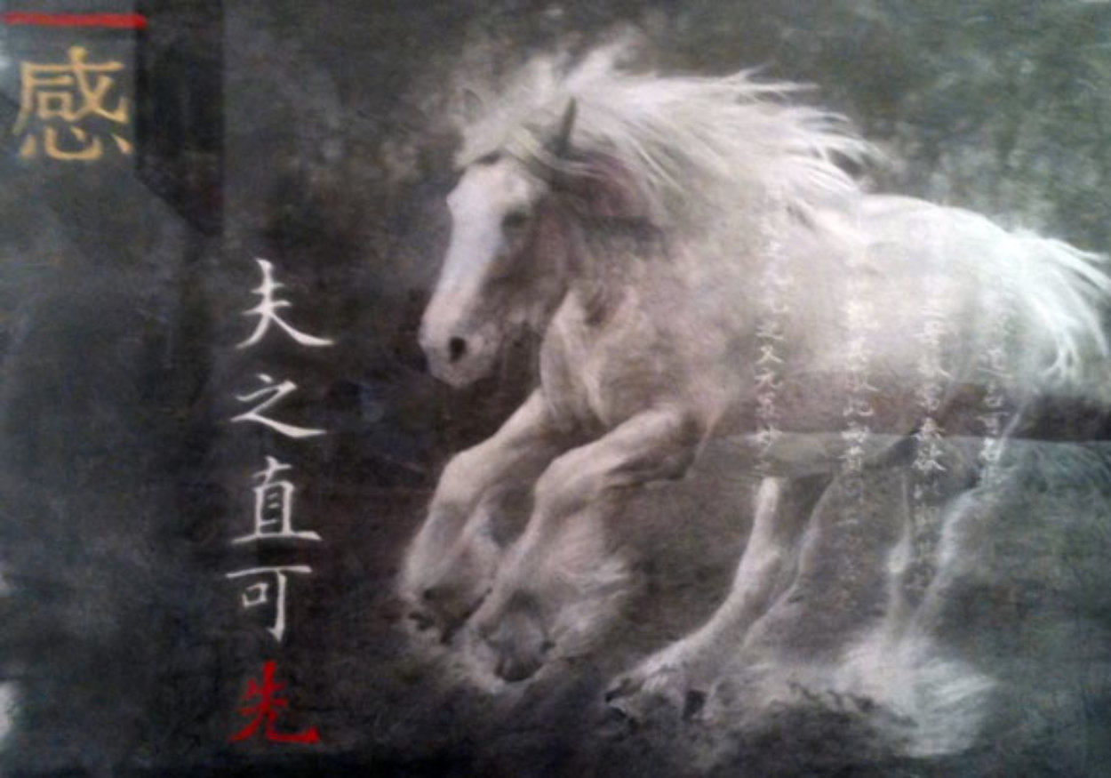 Large Equus Caballus Crazy Horse II 1995 46x56 Super Huge Photography by Douglas Kent Hall Large Equus Caballus Crazy Horse II 1995 46x56 Super Huge Photography by Douglas Kent Hall