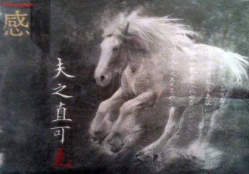 Large Equus Caballus Crazy Horse II 1995 46x56 Super Huge Photography - Douglas Kent Hall Large Equus Caballus Crazy Horse II 1995 46x56 Super Huge Photography - Douglas Kent Hall