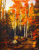Untitled Aspen Forest 38x32 Original Painting by Marin Dobson - 0