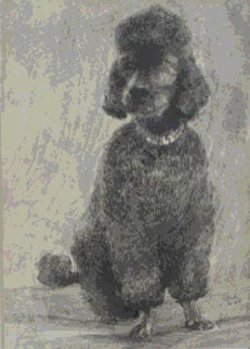 Pepper The Poodle 1968 Limited Edition Print - Neal Doty Pepper The Poodle 1968 Limited Edition Print - Neal Doty