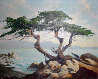Carmel Sculpture (Lone Cypress) 1971 10x12 - Monterey, California Original Painting by Jerry Wayne Downs - 0