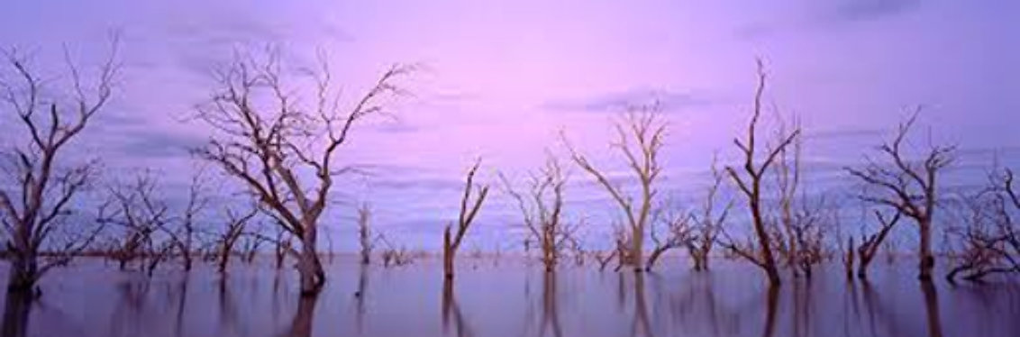 Lake Victoria NSW, Australia 1992 Panorama by Kenneth Duncan