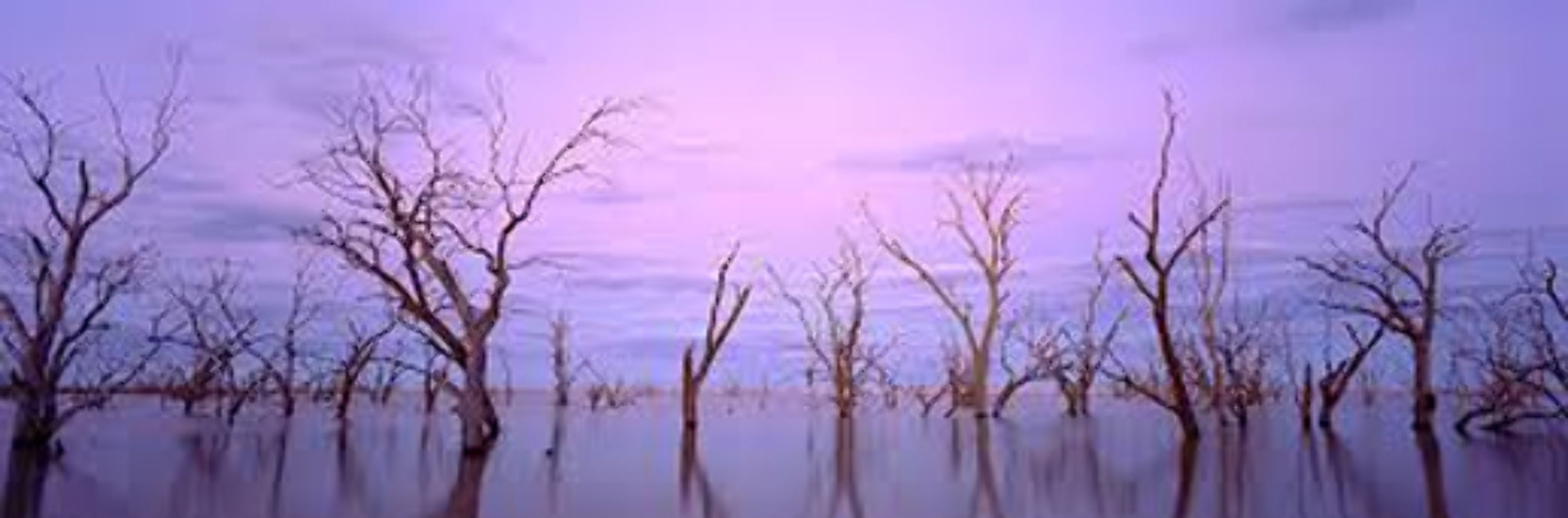Lake Victoria NSW, Australia 1992 Panorama by Kenneth Duncan Lake Victoria NSW, Australia 1992 Panorama by Kenneth Duncan