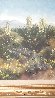 Yucca 1971 28x24 - Coachella Valley, California - Palm Springs Original Painting by Vie Dunn-Harr - 4 Yucca 1971 28x24 - Coachella Valley, California - Palm Springs Original Painting by Vie Dunn-Harr - 4