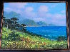 Pt. Lobos Springtime 24x30 San Diego, California Original Painting by Alex Dzigurski II - 2