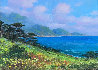 Pt. Lobos Springtime 24x30 San Diego, California Original Painting by Alex Dzigurski II - 0