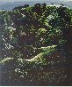 Green Hills 1990 - California Limited Edition Print by Eyvind Earle - 2