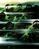 Early Morning Fog Limited Edition Print by Eyvind Earle - 0