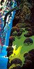 Enchanted Coast AP 1980 - California Limited Edition Print by Eyvind Earle - 0