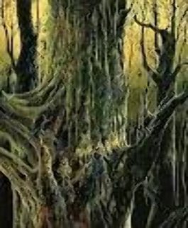 Ancient Tree 1992 Limited Edition Print - Eyvind Earle