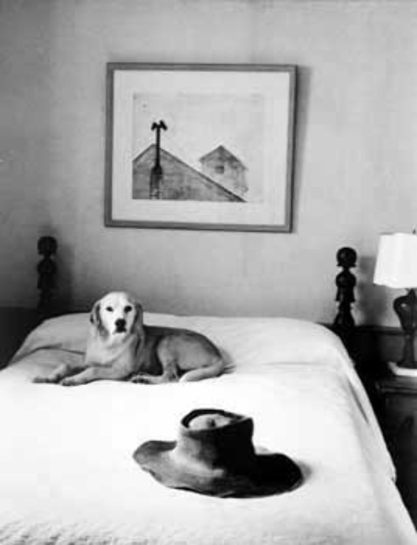 Andrew Wyeth's Hat, Bed and Dog 1965 HS Photography by Alfred Eisenstaedt Andrew Wyeth's Hat, Bed and Dog 1965 HS Photography by Alfred Eisenstaedt