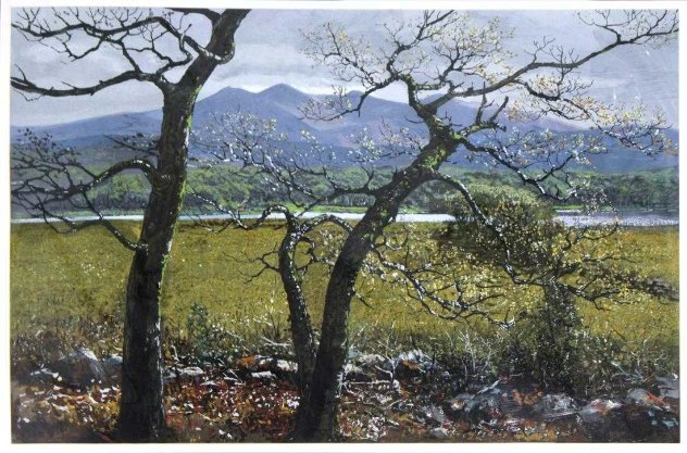 Kerry Springtime AP 1970 - Ireland Limited Edition Print by Peter Ellenshaw