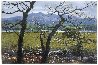 Kerry Springtime AP 1970 - Ireland Limited Edition Print by Peter Ellenshaw - 0