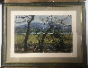 Kerry Springtime AP 1970 - Ireland Limited Edition Print by Peter Ellenshaw - 1