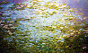 Abundant Water Lilies 2011 Original Painting by Russ Elliott - 0