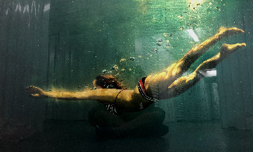 Untitled Painting 2007 28x48 Huge Original Painting - Eric Zener Untitled Painting 2007 28x48 Huge Original Painting - Eric Zener