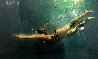 Untitled Painting 2007 28x48 Original Painting by Eric Zener - 0 Untitled Painting 2007 28x48 Original Painting by Eric Zener - 0