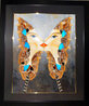 Butterfly Kiss: Atlas Attacus 2015 40x34 Mixed Media on Canvas - Huge - Signed Twice Original Painting by Alina Eydel - 1 Butterfly Kiss: Atlas Attacus 2015 40x34 Mixed Media on Canvas - Huge - Signed Twice Original Painting by Alina Eydel - 1