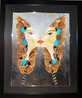 Butterfly Kiss: Atlas Attacus 2015 40x34 Mixed Media on Canvas - Huge - Signed Twice Original Painting by Alina Eydel - 11 Butterfly Kiss: Atlas Attacus 2015 40x34 Mixed Media on Canvas - Huge - Signed Twice Original Painting by Alina Eydel - 11