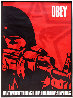Korean Soldier 1988 Limited Edition Print by Shepard Fairey - 0