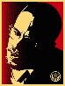 Malcolm X Red 2006 Limited Edition Print by Shepard Fairey - 0