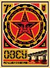 Propaganda Engineering Large Format 2009 Limited Edition Print by Shepard Fairey - 0