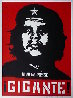 Che AP 2000 Limited Edition Print by Shepard Fairey - 1