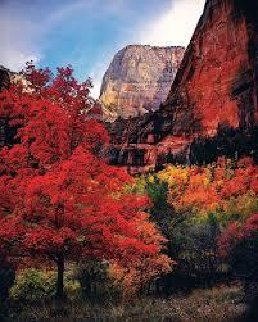Sentinel of Eden - Zion Panorama - Michael Fatali Sentinel of Eden - Zion Panorama - Michael Fatali
