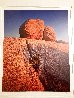 Fruit of Temptation AP 1997 - Joshua Tree, California - Palm Desert California Panorama by Michael Fatali - 2